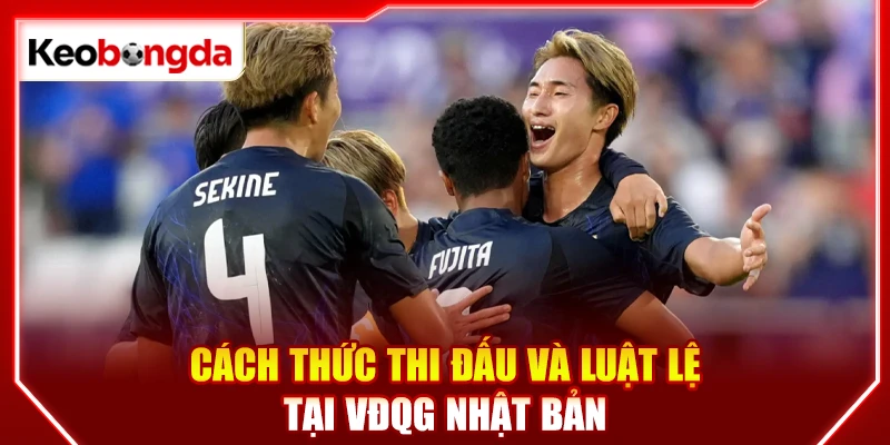 Tổng hợp giải bóng đá Nhật Bản đáng chú ý