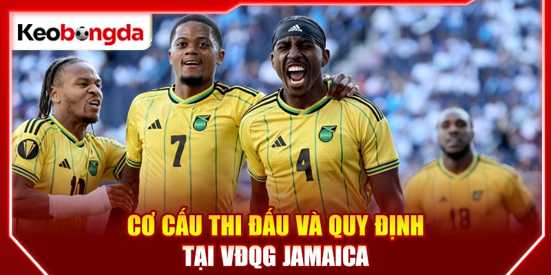 Cơ cấu thi đấu và quy định tại VĐQG Jamaica